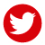 btn twitter