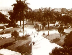 pereira antes